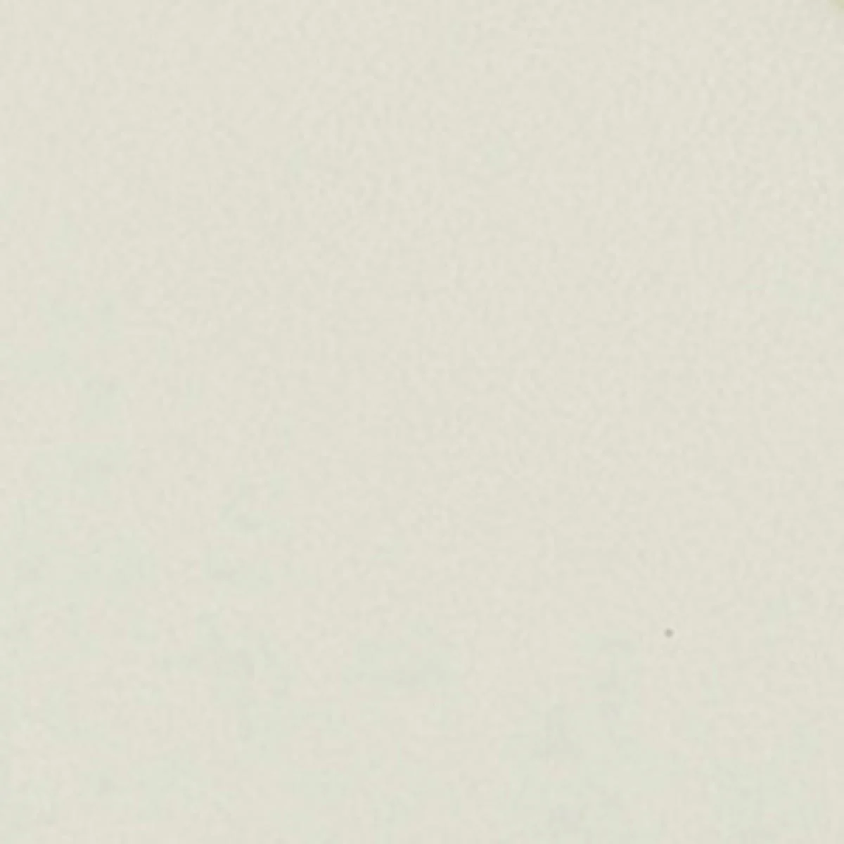1415-tehora-belt-5.webp Tehora Belt