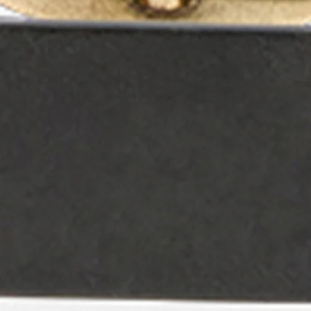DARA BELT