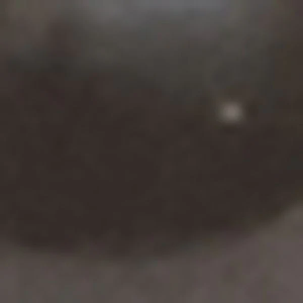 1882-casablanca-ring-3.webp Casablanca Ring