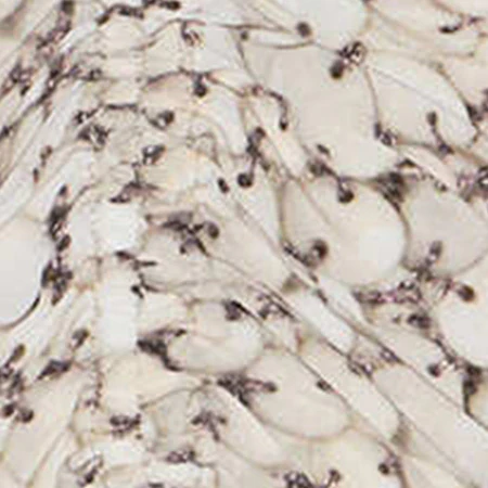 2342-albini-dress-4.webp ALBINI DRESS