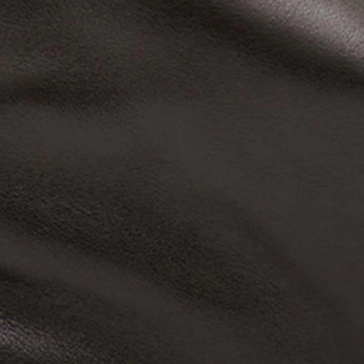 Leyden bag